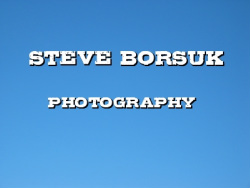 Steve Borsuk | Niv Borsuk